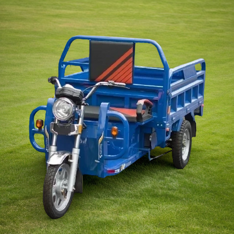 Электротрицикл TaiLG TL1000DQZ-01Z original
